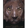 KNYGA Bookshop Treasures from the Royal Tombs of Ur
