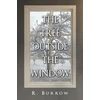 KNYGA Bookshop Tree Outside the Window