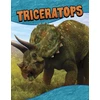 KNYGA Bookshop Triceratops