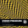 KNYGA Bookshop Under Pressure