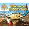 KNYGA Bookshop Welcome to the Rock Pool