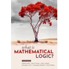 KNYGA Bookshop What Is Mathematical Logic?