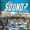 KNYGA Bookshop What Is Sound?