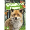KNYGA Bookshop Woodland Fauna
