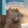 KNYGA Bookshop You're a Good Friend, Capybara