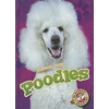 KNYGA Breanna Berry Poodles