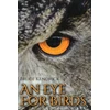 KNYGA Bruce Kendrick Eye for Birds