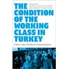 KNYGA Cagatay Edgucan Sahin Condition of the Working Class in Turkey