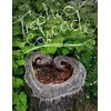KNYGA Camille T Dungy Trophic Cascade
