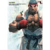 KNYGA Capcom Street Fighter IV &amp; Super Street Fighter IV: Official Complete Works