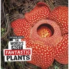 KNYGA Cari Meister World's Most Fantastic Plants