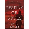 KNYGA Carl Bayley Destiny of Souls