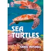 KNYGA Carol Mitchell Sea Turtles