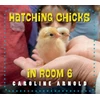 KNYGA Caroline Arnold Hatching Chicks in Room 6