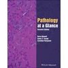 KNYGA Caroline Finlayson Pathology at a Glance