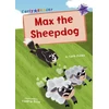 KNYGA Cath Jones Max the Sheepdog