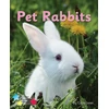 KNYGA Cath Jones Pet Rabbits