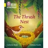 KNYGA Catherine Baker Thrush Nest