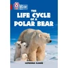 KNYGA Catronia Clarke Life Cycle of a Polar Bear