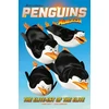 KNYGA Cavan Scott Penguins Collection