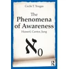 KNYGA Cecile Tougas Phenomena of Awareness