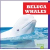 KNYGA Chanez Beluga Whales