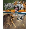 KNYGA Charles C Hofer Siberian Tiger vs Sabre-Toothed Cat