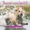KNYGA Cheryl Murphy Dogs Just Wanna Have Fun!