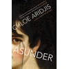 KNYGA Chloe Aridjis Asunder