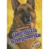 KNYGA Chris Bowman German Shepherds