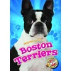 KNYGA Christina Leaf Boston Terriers