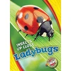 KNYGA Christina Leaf Ladybugs