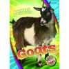 KNYGA Christina Leighton Goats