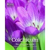 KNYGA Christopher Grey Wilson Colchicum: The Complete Guide