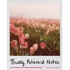KNYGA Chronicle Books Staff Pretty Polaroids Notecards