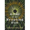 KNYGA Chuck Collins Altar to an Erupting Sun
