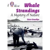 KNYGA Claire Llewellyn Whale Strandings: A Mystery of Nature