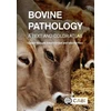 KNYGA Claus D Buergelt Bovine Pathology