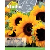 KNYGA Clive Bell Studio AQA GCSE French Foundation Student Book