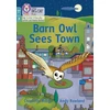 KNYGA Collins Big Cat Barn Owl Sees Town