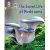 KNYGA Collins Big Cat Secret Life of Mushrooms
