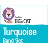 KNYGA Collins Big Cat Turquoise Band Set