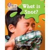 KNYGA Collins Big Cat What is snot?
