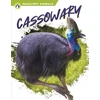 KNYGA Connor Stratton Cassowary