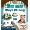 KNYGA Crystal Sikkens Dome Stays Strong