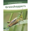 KNYGA Dalton Rains Grasshoppers