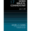KNYGA David J. A. Clines Job 1-20, Volume 17