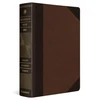 KNYGA David L Adams ESV Archaeology Study Bible