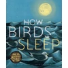 KNYGA David Obuchowski How Birds Sleep