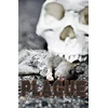 KNYGA David Orme Plague